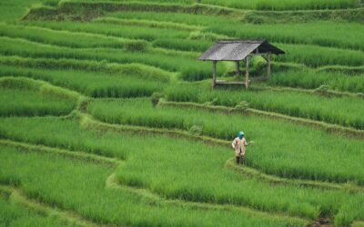Hubungan Antara Masyarakat dan Pelayanan Desa Grogol Utara