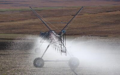 Membangun Kesadaran Pendidikan di Desa Grogol Utara
