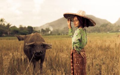 Tantangan dan Peluang Digitalisasi di Grogol Utara