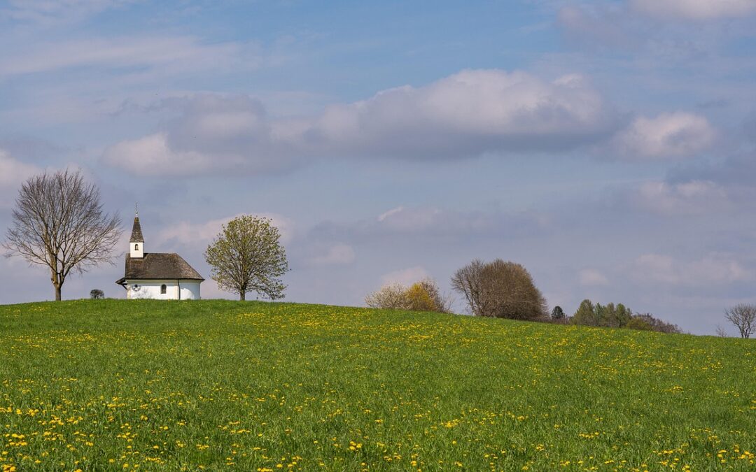 Strategi Pemberdayaan Ekonomi Melalui Digitalisasi di Grogol Utara