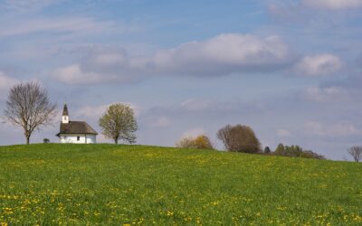 Strategi Pemberdayaan Ekonomi Melalui Digitalisasi di Grogol Utara