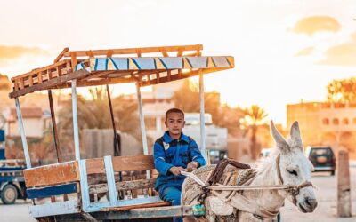 Mempercepat Pembangunan melalui Digitalisasi di Desa Grogol Utara