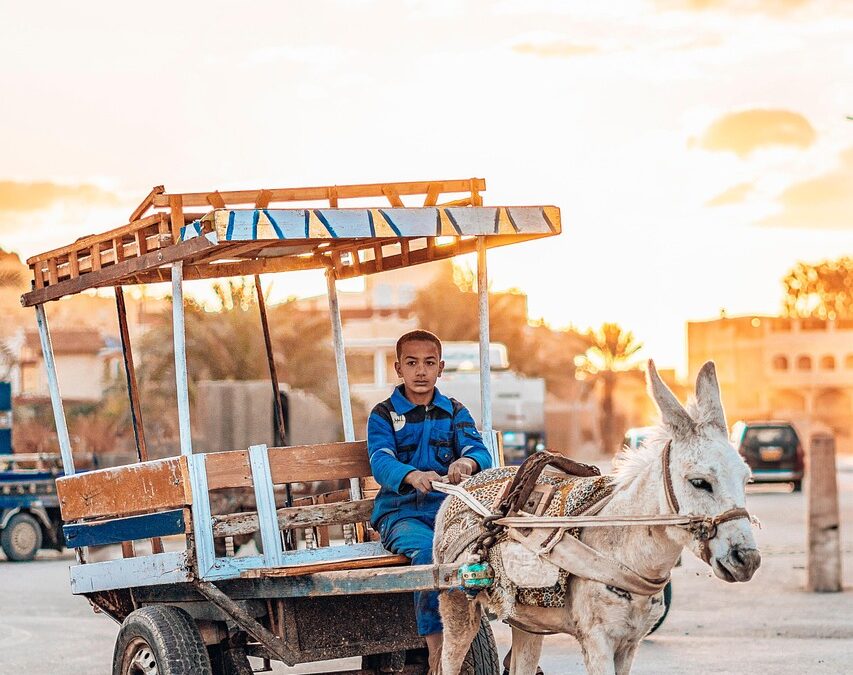 Mempercepat Pembangunan melalui Digitalisasi di Desa Grogol Utara